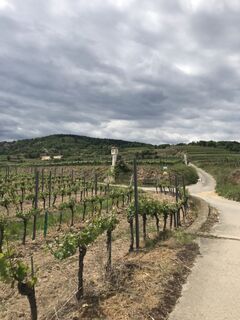 Fotografia z Maxspeed na trase