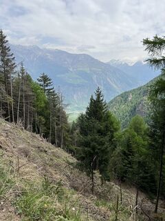 Foto de Peter Schäfer a lo largo del recorrido