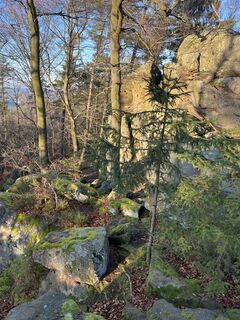 Zdjęcie z Rouven Schwark wzdłuż trasy