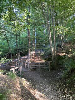 Foto von Cornelia Egger entlang der Tour