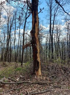 Photo de Zoltán Kovács 5 le long du parcours