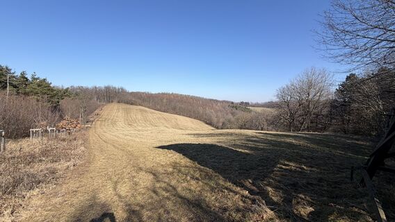 Foto de Alexander Batik a lo largo del recorrido