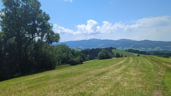 Fotografija s spletne strani AndreasD na poti