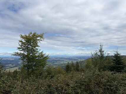 Photo de Alexander Reisinger le long du parcours