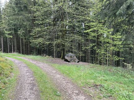 Foto von Sanca entlang der Tour