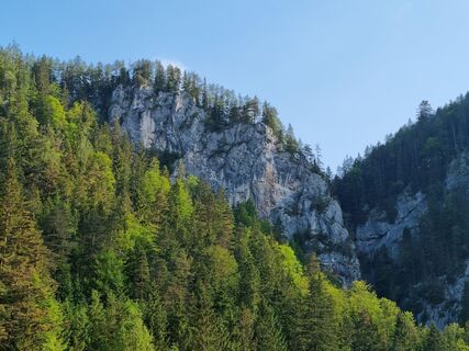 Falkensteinwand