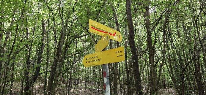 Am Weg zur Redlingerhütte