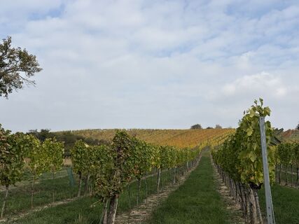 Foto von Silke Breckner entlang der Tour