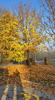 Photo from Karl Kriegseisen along the tour