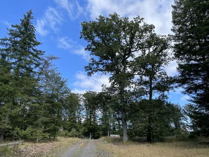 Fotografija s spletne strani Jens Frischholz na poti