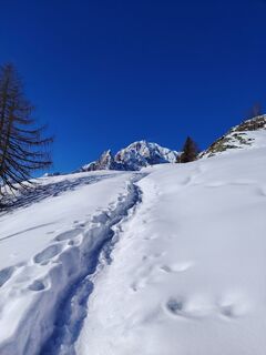 Fotografija s spletne strani Anita Lovat na poti