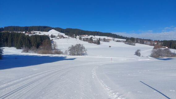 Foto de Knixx Box a lo largo del recorrido