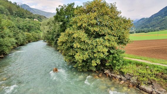 1.2 km Poschiavino