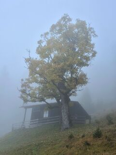 Foto von Thomas Schekira entlang der Tour