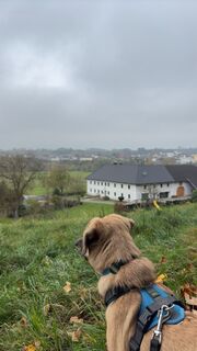 Foto von Aignervictoria entlang der Tour