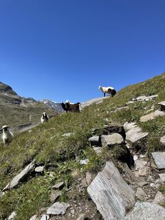 Fotografia z Masu na trase