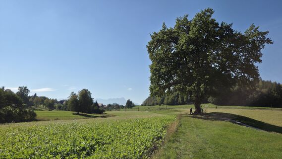 Fotografie z Reinhard R na trase