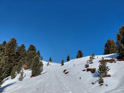 Photo de Sabine Steuxner le long du parcours