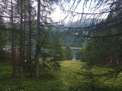 Fotografija s spletne strani mtmc na poti