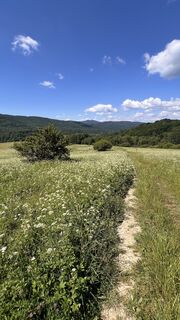 Foto von Tjelin entlang der Tour