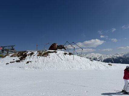 Zdjęcie z Robert Heym wzdłuż trasy