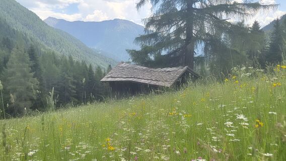 Fotografia z Uwe Schumann 2 na trase