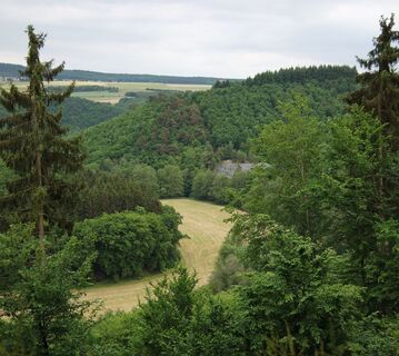 Aussichtspunkt ins Hahnenbachtal