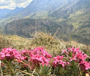 Zdjęcie z Natur_erleben_dg wzdłuż trasy