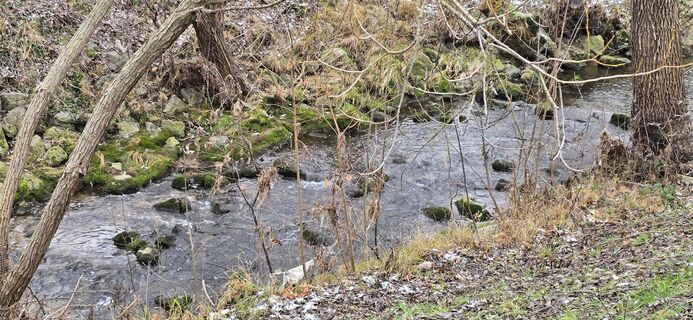 Photo de Sonja F. le long du parcours