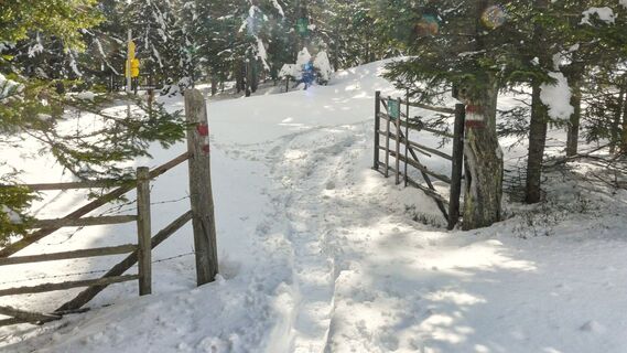 Verschneiter Weg