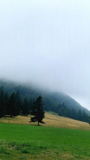 Foto von Elisabeth Rossa entlang der Tour