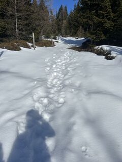 Zdjęcie z Carola Krems wzdłuż trasy