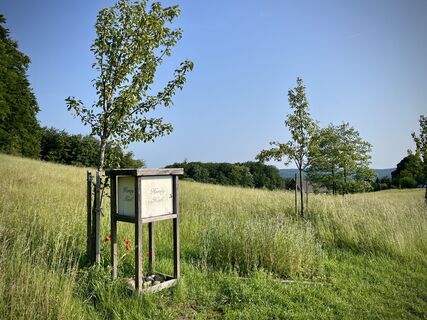 Fotó a Pfalzi honlapról a túra során