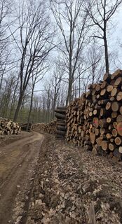 Foto von János Zsolt Mahr entlang der Tour