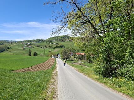 Fotografija s spletne strani Anci Jekovec na poti