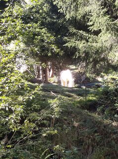 Fotografija s spletne strani Kriskind na poti