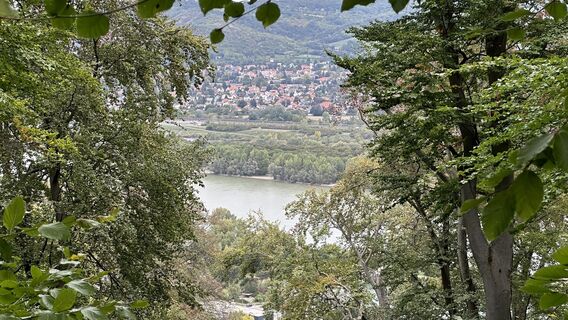 Fotografia z Z-Polen na trase