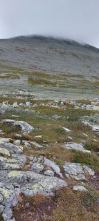 Foto von petra kroes entlang der Tour