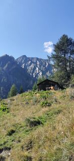 Fotografija s spletne strani luecki.wolf na poti
