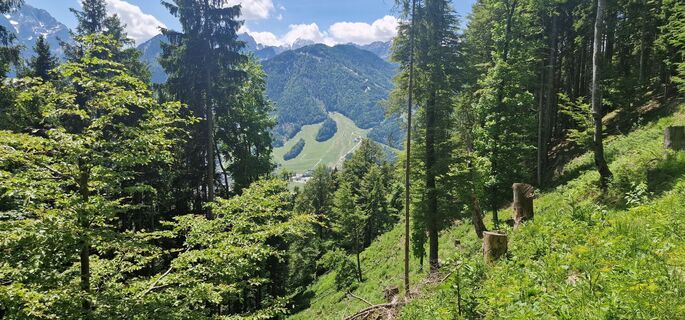 Zdjęcie z Marko wzdłuż trasy