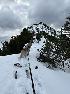Fotografia z Hieronimus Nickl na trase