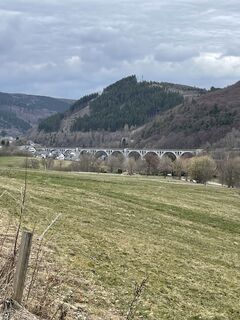 Fotografia z René Reichert na trase