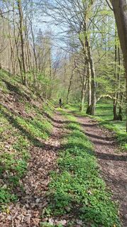 Foto de Aga M a lo largo del recorrido