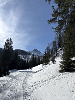 Foto von Heinz Sperl entlang der Tour