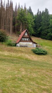 Foto von Wollomator entlang der Tour