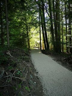 MTB Flow Trail Steinerberg