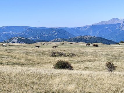 Foto von Günter Glaser entlang der Tour