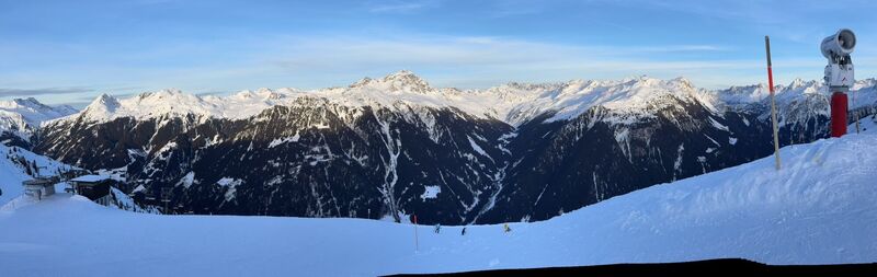 Foto von Schorse entlang der Tour