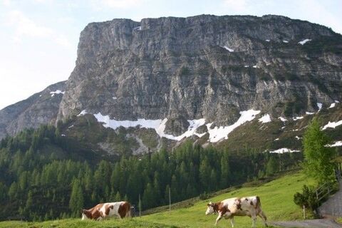 Wandern im Gebiet Gerlosstein