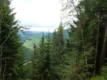 Der Wald gibt immer wieder schöne Blicke ins Saalachtal frei
